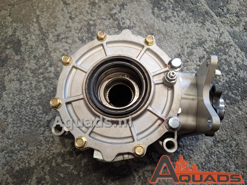Rear differential comp CF 500